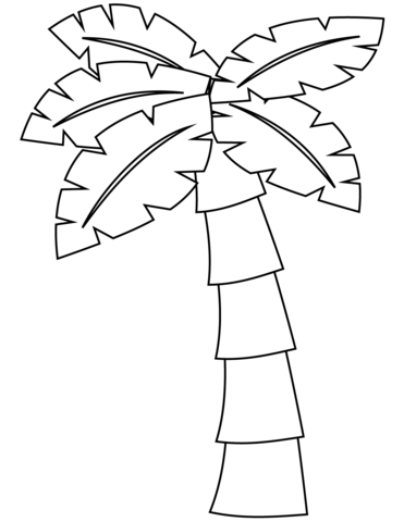 Coconut Tree Coloring Page